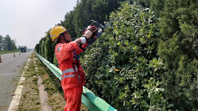 宿州中心養(yǎng)護工作人員對綠化帶進行精心修剪。 (2).jpg