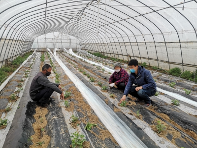 集團(tuán)公司扶貧干部：邊戰(zhàn)“疫”邊攻堅